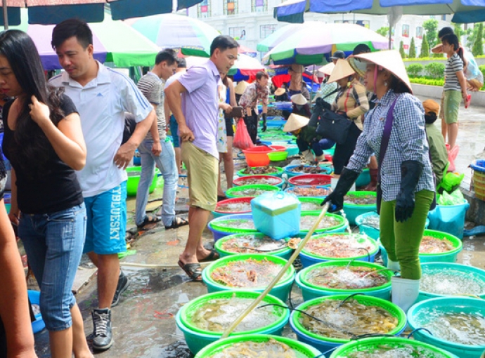 Bật mí địa chỉ mua hải sản tươi sống ở Đà Nẵng